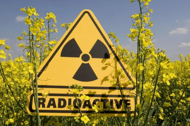 RadLevel device